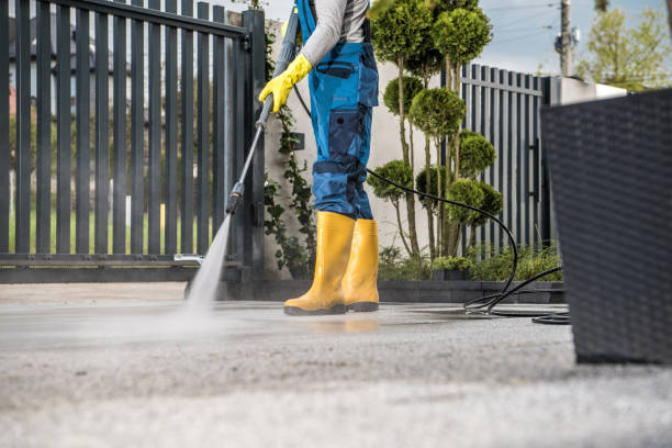 Best Driveway Pressure Washing  in Rosenhayn, NJ